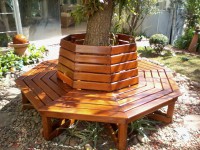 /album/hzuppa%20servi%c3%a7o%20em%20madeira%20restaura%2crevitaliza-/bianca-594-jpg/